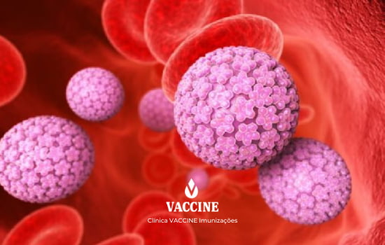 Vacina Meningite Clínica Vaccine